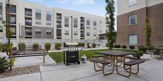 Alvera at The Meadows Gallery 6