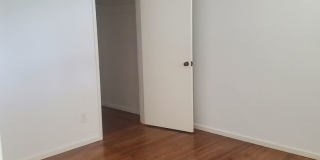 Recently Upgraded and Refreshed House with Pool and Casita Gallery 57