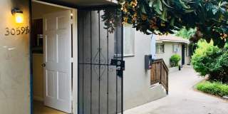 3059 Hawthorn Gallery 22