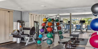 Arcadia Apartments Gallery 3