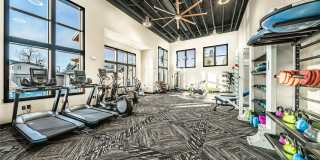 The McKenzie Gallery 5