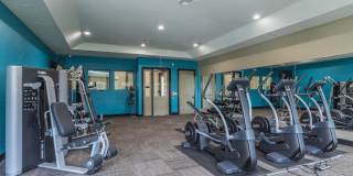 Hollow Tree Park Gallery 36