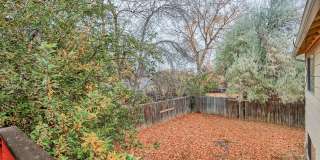 Beautiful 4 Bedroom Split-Level Home – Large Lot in West Fort Collins Gallery 30