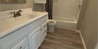 3 Bed, 1.5 Bath with Spacious Backyard! Gallery 10