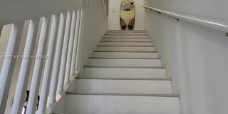 1550 S Ocean Dr Gallery 14