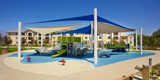 Torrey Gardens Gallery 8