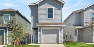 11006 Tree Line Gallery 1