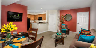 Evergreens at Laurel Gallery 2