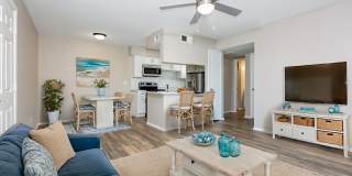 Venice Park Gallery 20