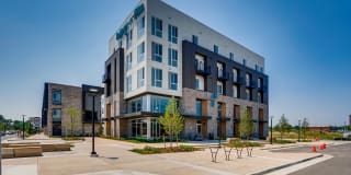 Legacy at Fitz Gallery 2