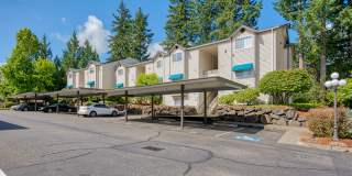 Arbor Square Gallery 22