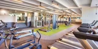 Vine at Panorama Gallery 33