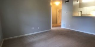 One Bedroom Condo on Whitemarsh Island Gallery 15
