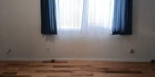 3 Bedroom, 1.5 Bathroom Home! Schedule a Showing! Gallery 4