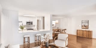 Coconut Palm Club Gallery 37