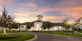 Shadetree Gallery 19