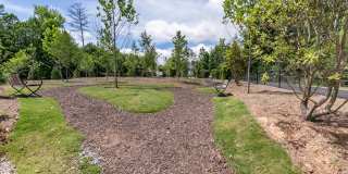 Sugarloaf Walk Gallery 20