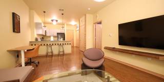 Settlement Place Gallery 300
