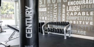 Sophia Square Gallery 11