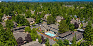 The Seasons Gallery 44