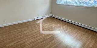 Amazing apartment in Allston Gallery 5