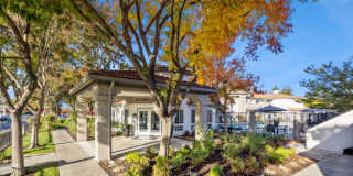 Terra at Portola Park Gallery 33