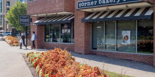 2201 Wilson Gallery 33