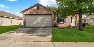 237 CACTUS PATCH Gallery 1