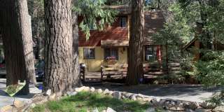 922 Berne Dr Gallery 17