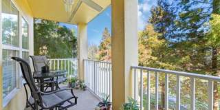 9040 WHITE SAGE LOOP Gallery 53