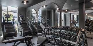 Tortoise One Gallery 47