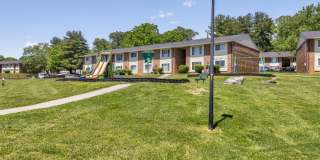 Allandale Falls Gallery 14