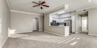 Montecito Gallery 15