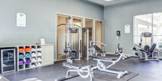 Nolina Flats Nolina Flats Gallery 14