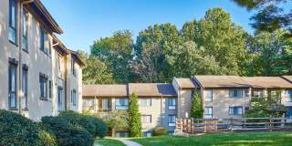 Reston Glade Gallery 25
