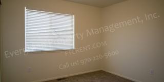 Beautiful 4-Bedroom in Greeley Colorado Beautiful 4-Bedroom in Greeley Colorado Gallery 15