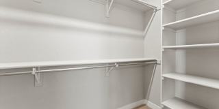 Mangold831 (KC-LN) Gallery 31