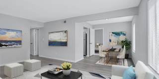 Linden at North Shores Gallery 7