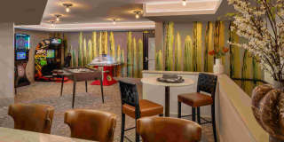 Manor Scottsdale Gallery 9