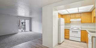 Country Woods Gallery 26