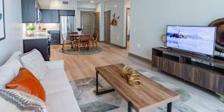 Bayswater Gallery 62