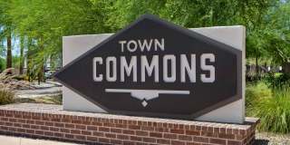 Town Commons Gallery 41