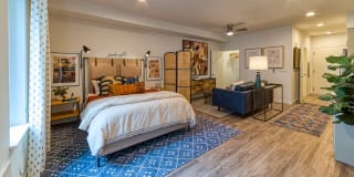 Zephyr on the Park Apartments Gallery 39