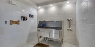 Windsor at West University Gallery 28