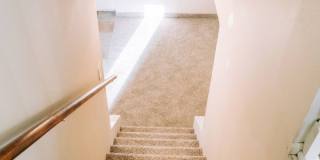 SMALL DOG FRIENDLY!!!  Meadow Street House Gallery 30