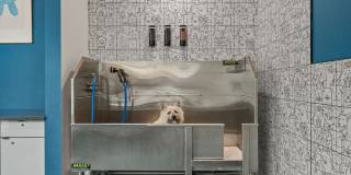 EVREN Apartments Gallery 23
