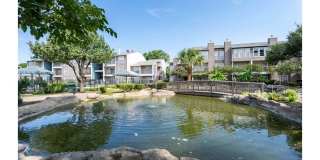 Walden Lakes Gallery 36