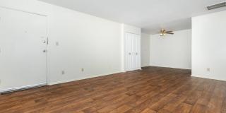 Mayfair Village Gallery 16