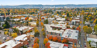 The Beverly Gallery 31