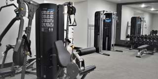 Degree of Honor Gallery 11